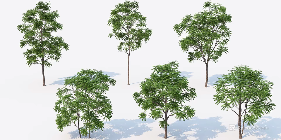 Lush Green Arbor Trees With Dense Foliage Trunks And Natural Shadows 3d model
