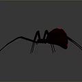 Dark Brown Spider With Red Markings On Abdomen And Long Legs