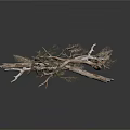 Dried Tree Branches With Slender Twigs And Intertwined Structure On White Background 3d model