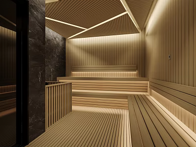 Modern SPA Sauna With Wooden Interior And Lighting 3d model
