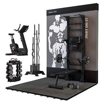 Complete Home Gym Fitness Equipment Set With Exercise Bike Barbells Dumbbells Squat Rack 3d model