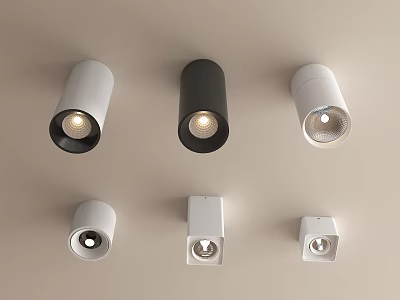 Various Styles Downlights And Spotlights With Different Colors And Shapes For Ceiling Illumination 3d model