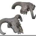 Animal Skull Sculpture Carving with Large Curved Horns Detailed Art Pieces