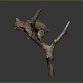 Artisan Designed Biomorphic Wooden Sculpture Featuring Natural Branch And Organic Form