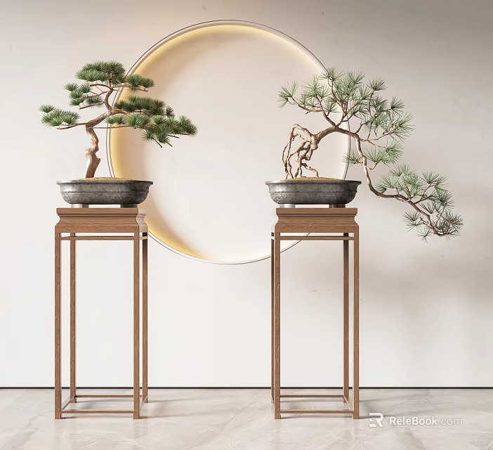 Indoor Pine Bonsai Plants On Wooden Stands With Round Decorative Mirror Background 3d model 