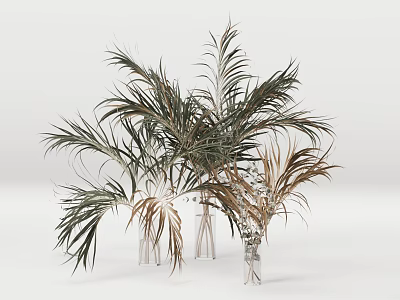 Stylish Palm Leaf Decor In Transparent Glass Vases With Green And Brown Foliage 3d model
