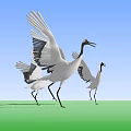 Flying Cranes With Spreading Wings On Green Ground Under Blue Sky 3d model