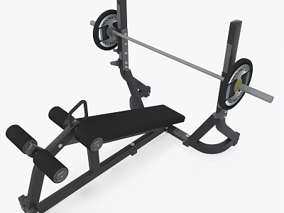 Professional Weight Bench With Barbell And Weight Plates For Fitness Training 3d model