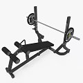 Professional Weight Bench With Barbell And Weight Plates For Fitness Training
