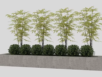 New Chinese Bamboo Shrub 3d model