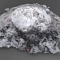 Natural Decorative Garden Ornament Irregular Shaped With Moss Covered Black Grey Textures
