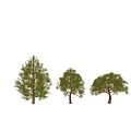 Trees Landscape Trees 3d model