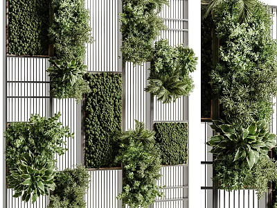 Vertical Living Plant Wall Design With Various Green Plants On White Panel 3d model