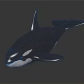 Orca Whale 3D Model with Black and White Color on Gray Background and Reflective Surface