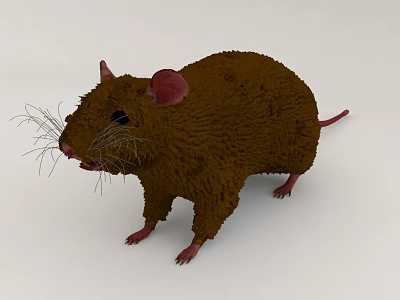 Brown Reptile Creature with Fluffy Skin Pink Claws and White Background 3d model