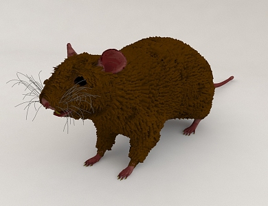 Mouse 3d model