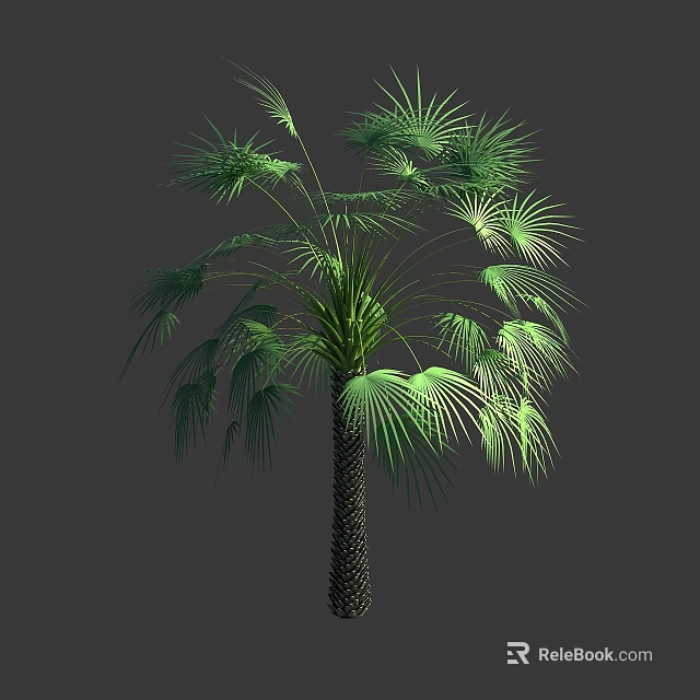 Lush Green Arbor With Palm Like Leaves And Textured Brown Trunk 3d model 