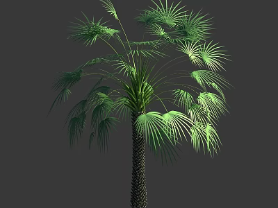 Lush Green Arbor With Palm Like Leaves And Textured Brown Trunk 3d model
