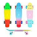 Skateboard Sports Equipment With Colorful Rainbow Gradient Design Blue Pink Wheels And Textured Deck