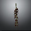 Fresh Ripe Red Berries on Green Stem Strand Against Gray Background