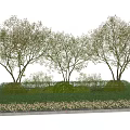 Lush Green Trees And Low Shrubs In Rectangular Garden Landscape Base 3d model