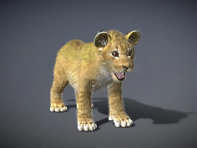 Young Reptile 3D Model With Yellow Skin Open Mouth On Gray Background 3d model