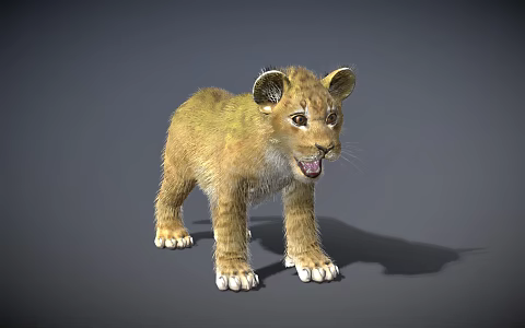 Modern Lion Little Lion 3d model