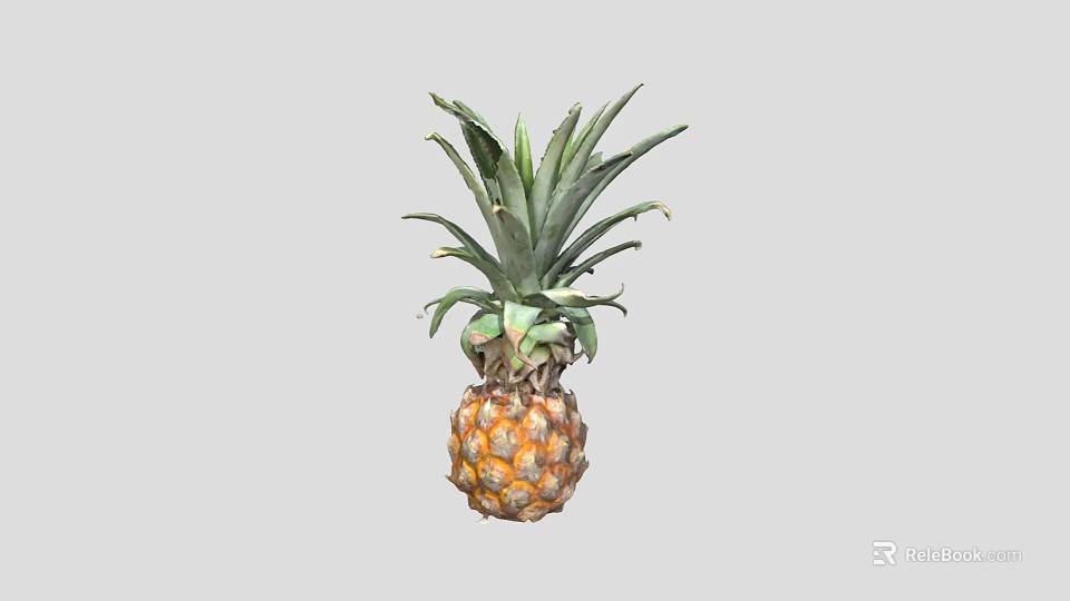 Tropical Fresh Ripe Pineapple With Green Leaves And Juicy Spiky Yellow Skin 3d model 