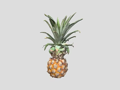 Tropical Fresh Ripe Pineapple With Green Leaves And Juicy Spiky Yellow Skin 3d model
