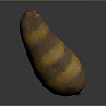 Fresh Whole Striped Sweet Potato with Yellow and Brown Stripes Organic Vegetable on Dark Background
