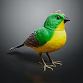 Vibrant Green and Yellow Bird with Black Tail Standing on Dark Background