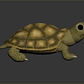 Turtle Turtle Cartoon Turtle Snapping Turtle Chickbill Turtle Reptile Cold Blooded Animal Reptile Reptile Class 3d model