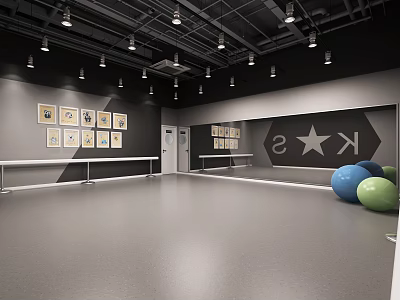 Modern Fitness Studio Space With Gray Floor Black Walls Artworks Benches And Colorful Balls 3d model
