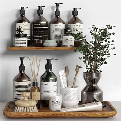 Stylish Bathroom Accessories with Shampoo Bottles Reed Diffusers Toothbrushes Storage Tray and Potted Plant 3d model