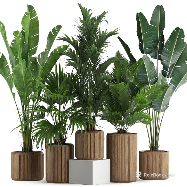 Indoor Plant Pots Featuring Various Large Green Plants In Brown Woven Texture On White Stands 3d model 