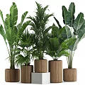 Indoor Plant Pots Featuring Various Large Green Plants In Brown Woven Texture On White Stands