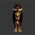 Brown And Tan Wolf With Green Eyes Standing On Dark Background