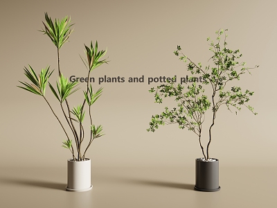 potted plant green plant potted plant green plant 3d model