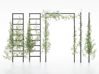 Green Climbing Vines With Foliage On Black Metal Ladders And Arch Structure 3d model