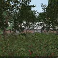 Lush Garden Landscape with Fruit Trees Green Plants and Stone Wall Background