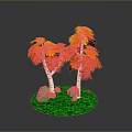 Vibrant Orange Red Leaf Trees with White Trunks on Green Grass and Stones