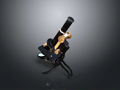 Vintage Black and Gold Microscope as Essential Household Item with Metal Frame 3d model