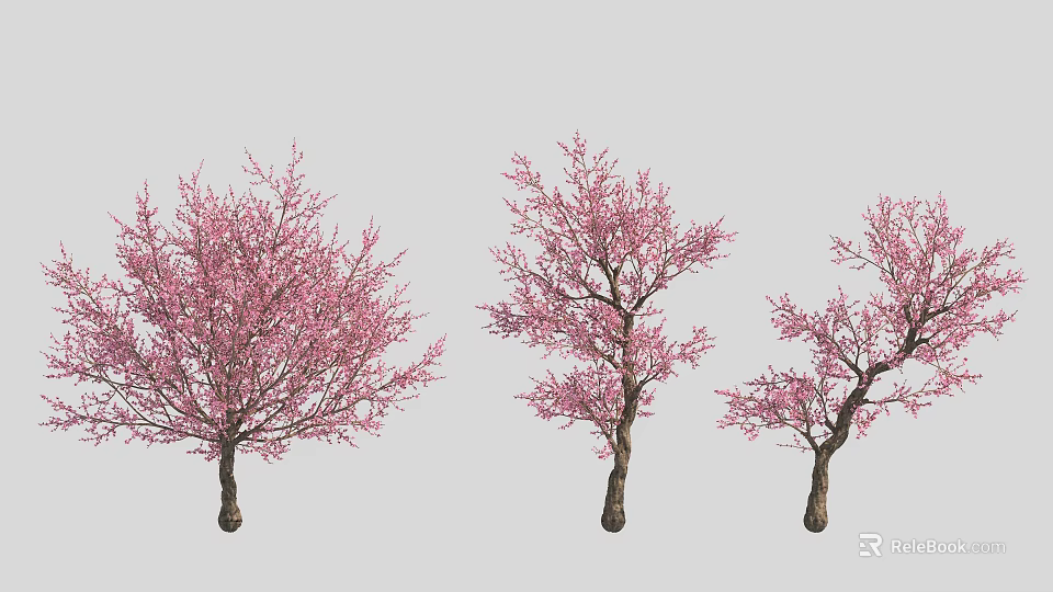 Beautiful Spring Blooming Trees With Pink Blossoms In Garden Landscape 3d model 