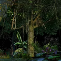 Vibrant Tropical Rainforest Park Landscape With Lush Trees Thick Trunks Hanging Vines And Colorful Flowers