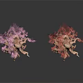 Two Unique Plants with Twisted Trunks Pink Red Flowers Exposed Roots on Black Background Reflections