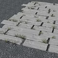 Natural Stone Stepping Stones Path With Grass Growing In Gaps For Garden