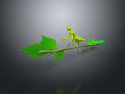 Lifelike Green Praying Mantis Perched On Thin Branch With Fresh Green Leaves 3d model