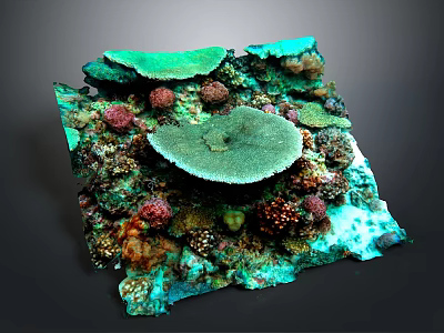 Vibrant Marine Plants On Square Coral Reef Model With Green Red Brown Hues 3d model