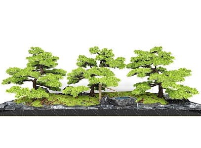 courtyard landscaping pine tree landscape tree arbor 3d model