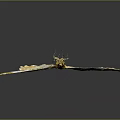 Modern Butterfly Colored Butterfly Tabby Butterfly Leaf Butterfly 3d model